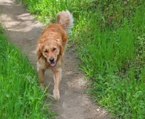 Gaston April '11_035